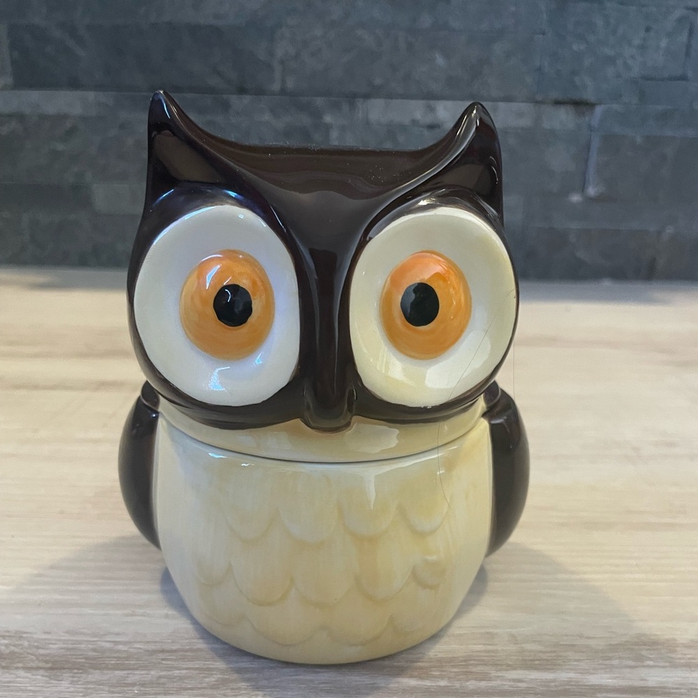 Avon Ceramic Owl Measuring Cup/Lidded Dish
